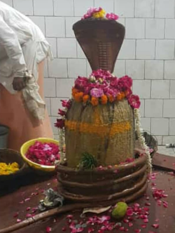 Durga puja ritual setup with flowers and diya