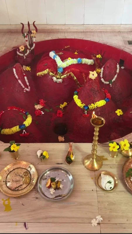 Hindu pooja ceremony with offerings and sacred items
